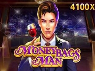 Moneybags Man icon